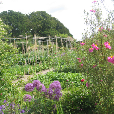 Kitchen Garden at Burton Agnes Hall