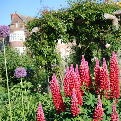 View of Burton Agnes Hall from the gardens