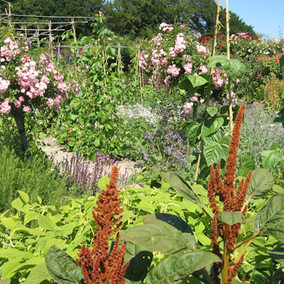 Summer Garden at Burton Agnes Hall