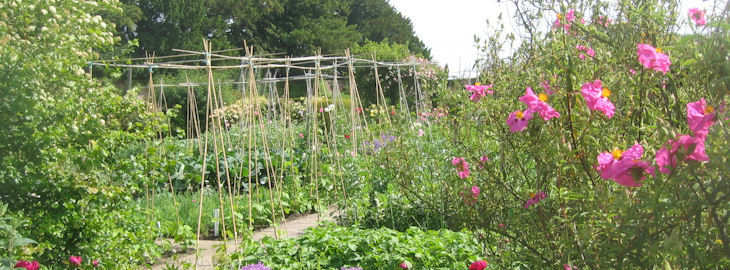 garden 3